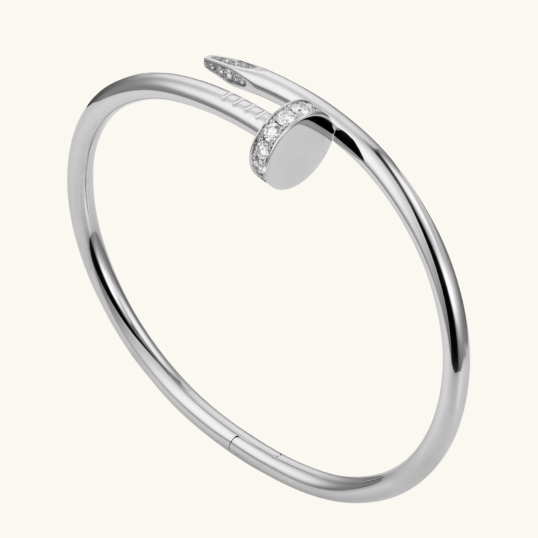 Elegant Deluxe Silver Nail Set